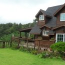 피노키오의 호수 이미지