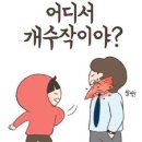 키즈 체육관 이미지