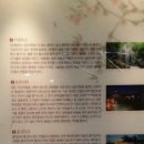 칠곡초등학교 이미지