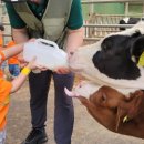 주호목장 이미지