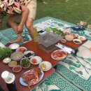 금남멧돼지 이미지