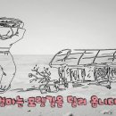 섬집 이미지