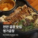 천안 성정동 맛집 명가곱창, 직접 구워주는 모듬곱창 후기