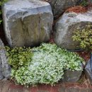 현하우스 | &#39;5월 가정의달&#39; 태안독채펜션 &#39;현하우스&#39; 방문 후기