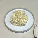 서판교로 | 서판교 마레아 후기 판교 이탈리안 레스토랑 주차·메뉴·가격 정리