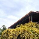 장미커피숍 - 화성시 31만세로 1109-6 | 장미커피숍