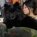 새롬유치원 | 4월, 5월 그리고 유고걸 🕶️