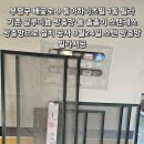 부평구 배곶로 9 동아하이츠빌 1동 빌라 기존 알루미늄 방충망 을 촘촘이 스텐레스 방충망으로 설치 공사 모헤어 시공 9월24일. 빌라 이미지