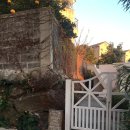 호근남로 이미지