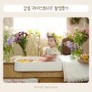 강릉 라이스튜디오 생화컨셉 아기사진 촬영 후기