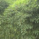 2025년9월20일 토요일 매봉산과 남산을 다녀와서! 이미지