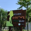 중대장짜장 이미지