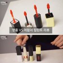틴트 이미지