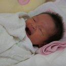 배꼽누리 이미지