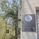 에델바이스 | 부산근교 김해 카페 에델바이스 꽃주는 카페 내돈내산 후기