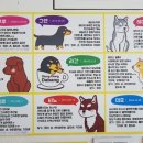 멍멍이다방 이미지