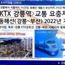 강릉 더퍼스트 이미지