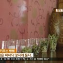 초록영양 이미지