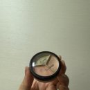 단뷰