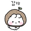 유폴 애견셀프목욕, 애견미용, 애견용품 직영점 이미지