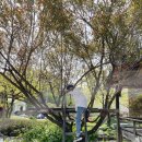 농부네 텃밭 민박 이미지