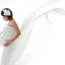 호야스튜디오 이미지