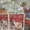 바이털샤인코리아 | 코스트코 울산점 후기 할인상품 할인정보 가격정보 (2022년 11월 14일 기준)