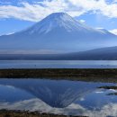 용달농장 이미지