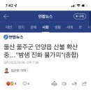 울산 울주군 언양읍 산불 확산 중…"밤샘 진화 불가피"(종합) 이미지