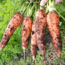 해도지영농조합법인 이미지