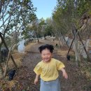뮬리아 인 여수 | [여수 글램핑 추천] 아이와 함께하는 돌산 수영장 펜션, 뮬리아인 글램핑&amp;풀빌라 리얼 후기 🏡🏊‍♀️