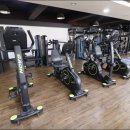 오렌지휘트니스 이미지