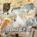 광명로 323번길 | 다양한 동물들이 있는 실내동물원 애니멀존 솔직후기ㅣ아이와 함께 가기 좋은 곳 (가격, 동물 종류...