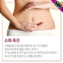 9가지 샐러리 효능 이미지