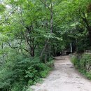 명승1 이미지