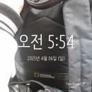 든손목공 | [2025고양하프마라톤대회]2025년 4월 6일 고하마 10km 후기
