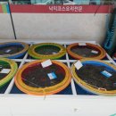 윤희네 집