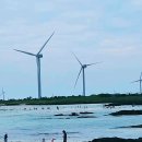 김녕해수욕장 이미지