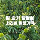 서리실힐링가족캠핑장 이미지