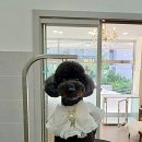 와니살롱 이미지