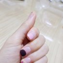 네일717 이미지