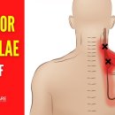 엄지한의원 이미지