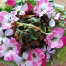 약선요리 꽃요리 자연요리 머위나물 비빔밥 이미지