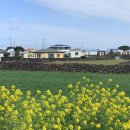 굿나잇 민박 이미지