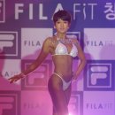 숨FIT 경향신문