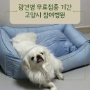 고양동물병원 | 광견병 무료접종 기간 고양시 참여동물병원
