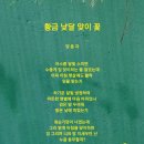 낮달 이미지