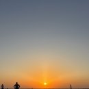 예하건설 | [2025이집트여행] 아부심벨 프라이빗택시 | 아스완에서 룩소르로 | 콤옴보신전 | 룩소르 Oasis guest...