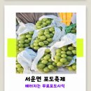 용포마을 | 2025서운면포도축제))시식용포도로 배터지는곳_무료인생네컷_꼭알아야하는필수꿀팁