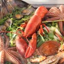 하대동108 이미지